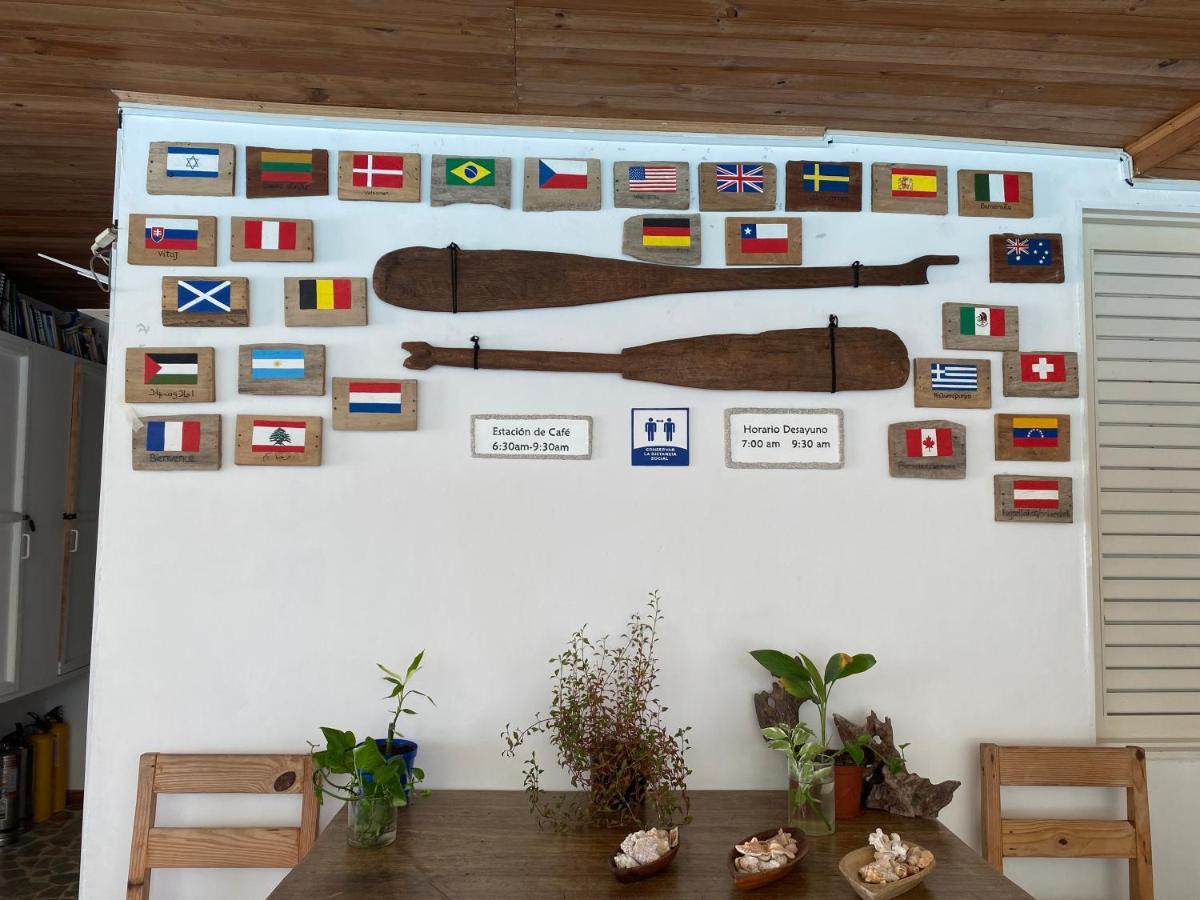 Hotel Casa Sattva- Bed & Breakfast Rincón 외부 사진