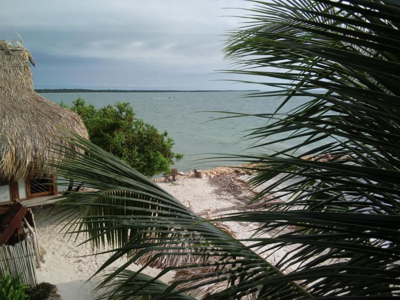 Hotel Casa Sattva- Bed & Breakfast Rincón 외부 사진